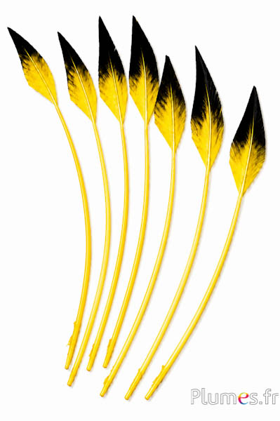 Cigno freccia - 28-33 cm - giallo-nero